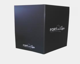 Forts des Caps